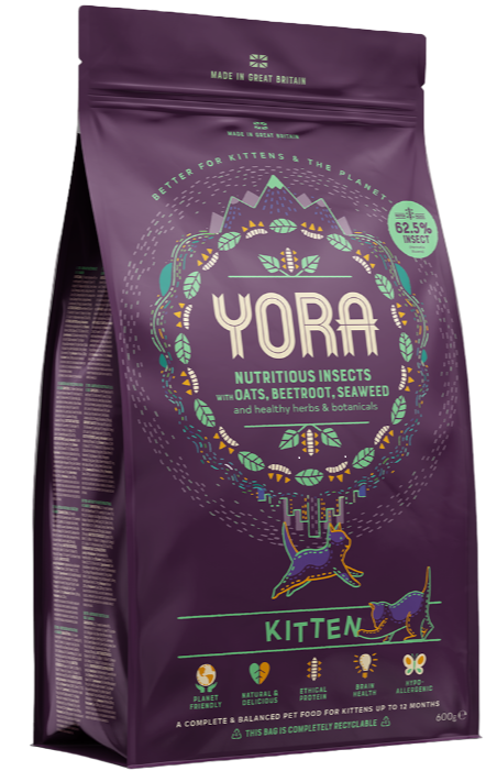 Yora – Cat Kitten