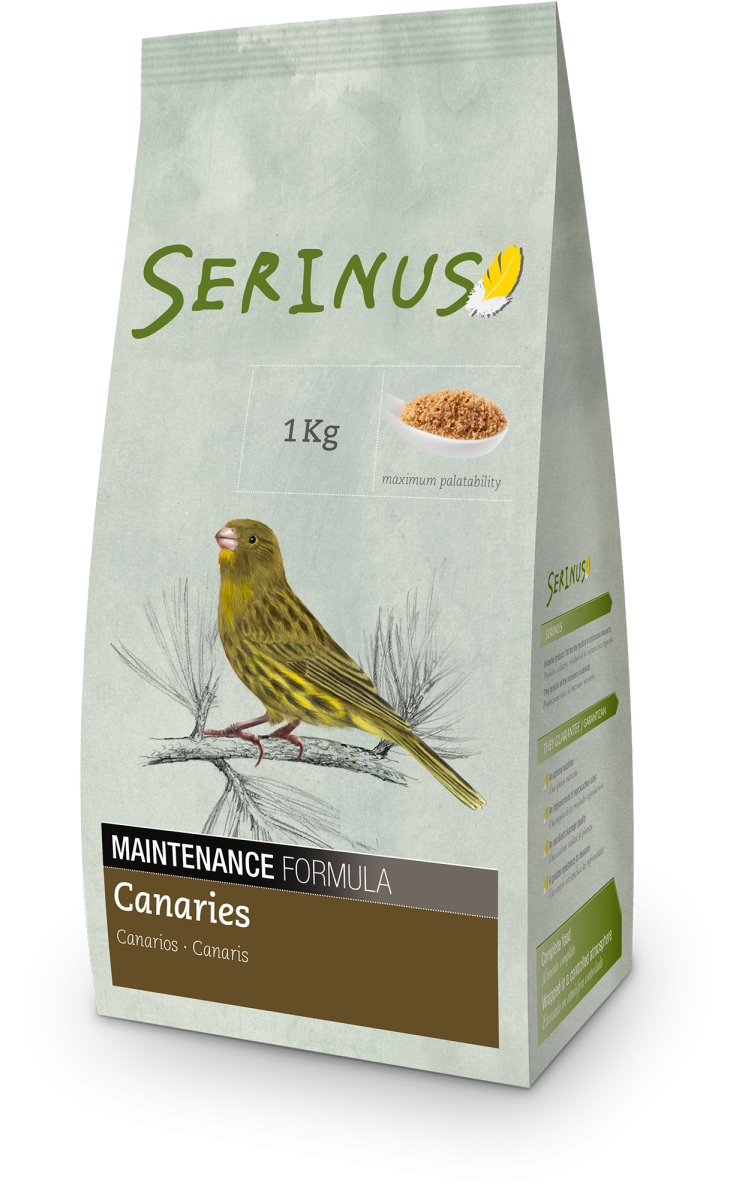 Serinus – Canaries Maintenance - Afbeelding 2