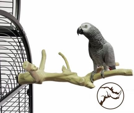 Back Zoo Nature – Java Multi Perch