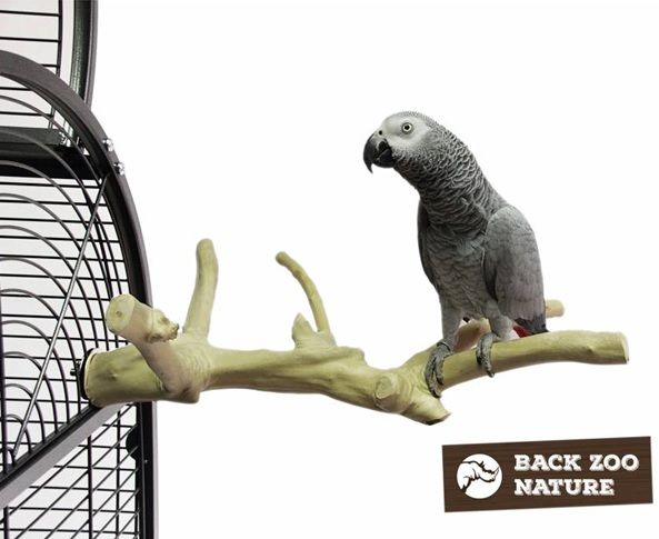 Back Zoo Nature – Java Multi Perch - Afbeelding 3